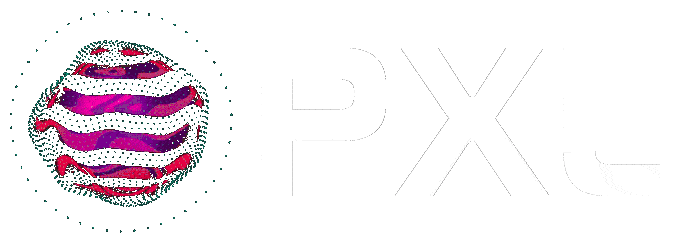PXL - WordPress Agency